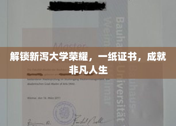 新泻大学荣耀见证，证书背后的非凡人生旅程