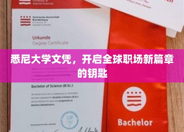 悉尼大学文凭，解锁国际职场未来之门
