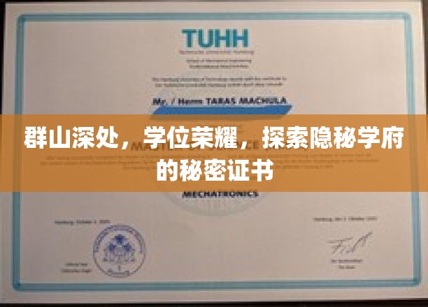 神秘山谷中的学位传奇，揭秘隐秘学府的荣耀证书之谜