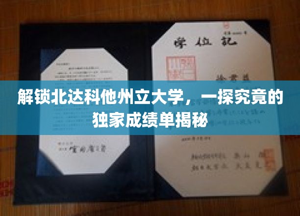 探寻北达科他州立大学背后的卓越成就，独家成绩单大揭秘！