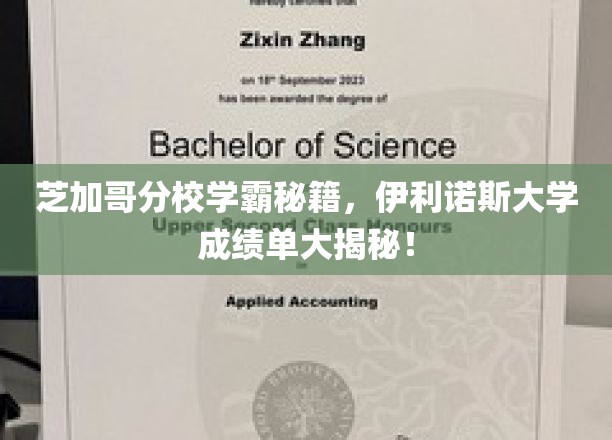 芝加哥分校学霸秘籍，伊利诺斯大学成绩单大揭秘！