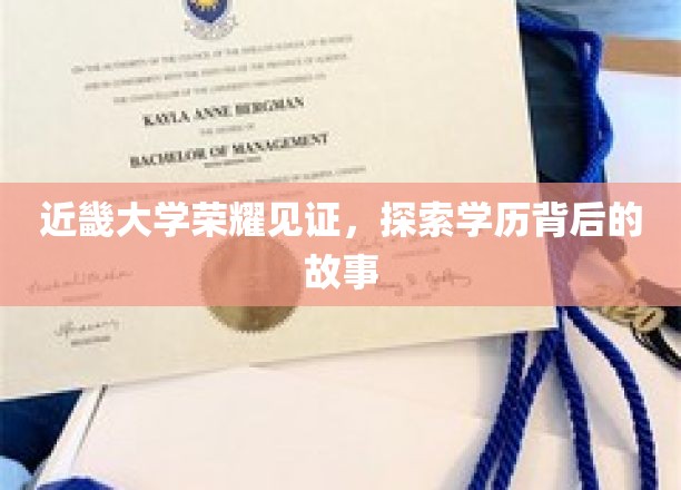 近畿大学荣耀映照，学历背后的传奇篇章