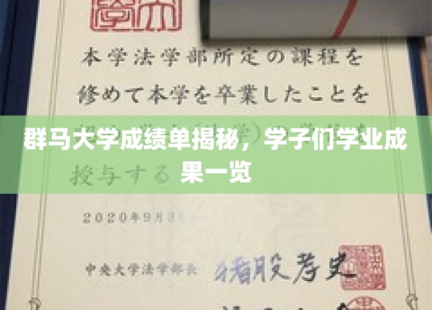 群马大学成绩单揭秘，学子们学业成果一瞥