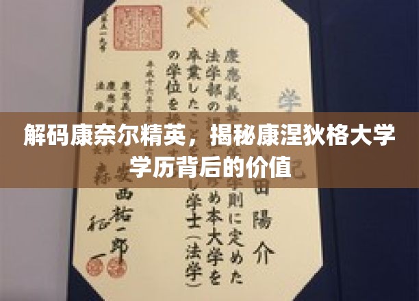 康奈尔精英养成记，康涅狄格大学学位的隐秘价值解析