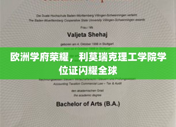 欧洲学府之荣，利莫瑞克理工学院学位证熠熠生辉，照亮全球学子心