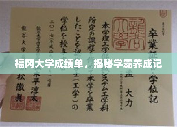 福冈学霸养成术，揭秘大学精英之路