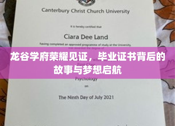 龙谷荣耀，毕业证书背后的梦想篇章与启航传奇
