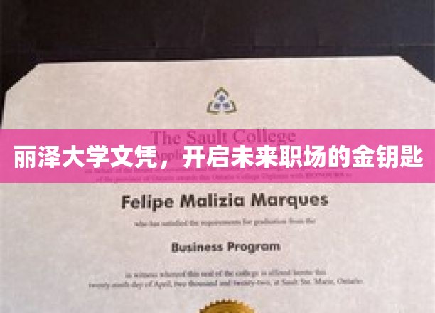 丽泽大学文凭，开启未来职场的金钥匙