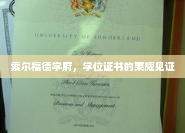 索尔福德学府，荣耀学位证书，成就非凡梦想的里程碑
