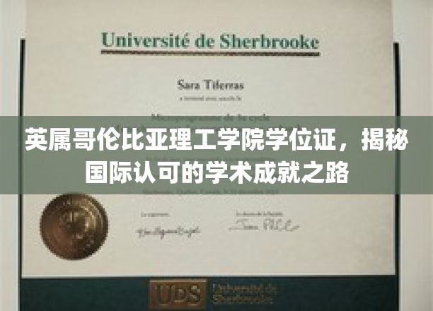 探索英属哥伦比亚理工学院，国际学位证的学术荣耀之旅