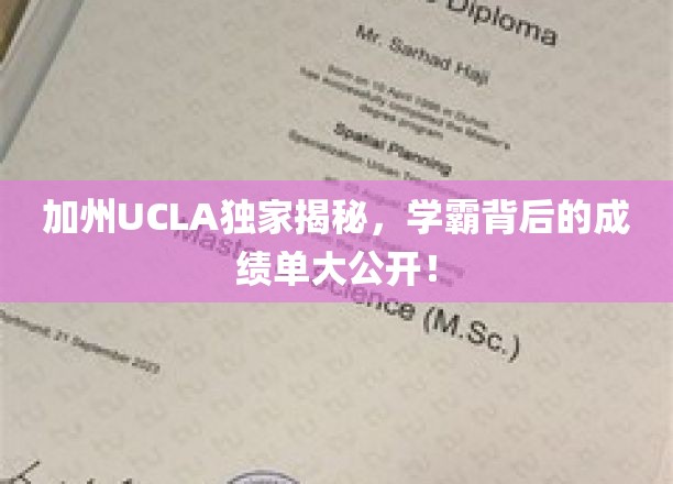 加州UCLA独家揭秘，学霸背后的成绩单大公开！