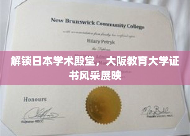 大阪教育大学证书，探寻日本学术荣耀之光