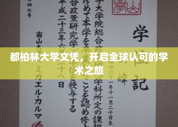 都柏林大学文凭，开启全球认可的学术之旅
