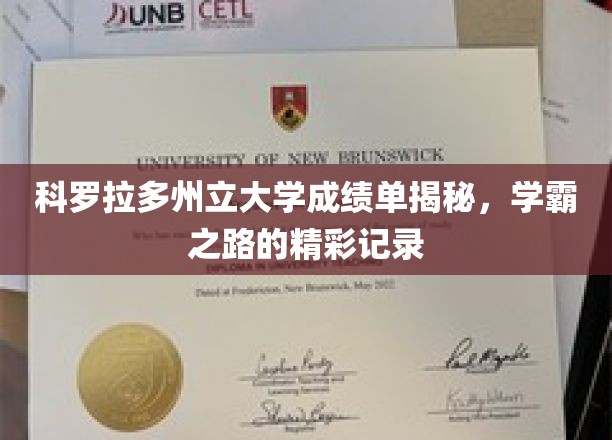 科罗拉多州立大学成绩单深度解析，记录学霸的精彩旅程