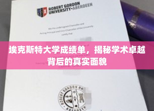 解码埃克斯特大学，揭秘卓越学术背后的真实图景