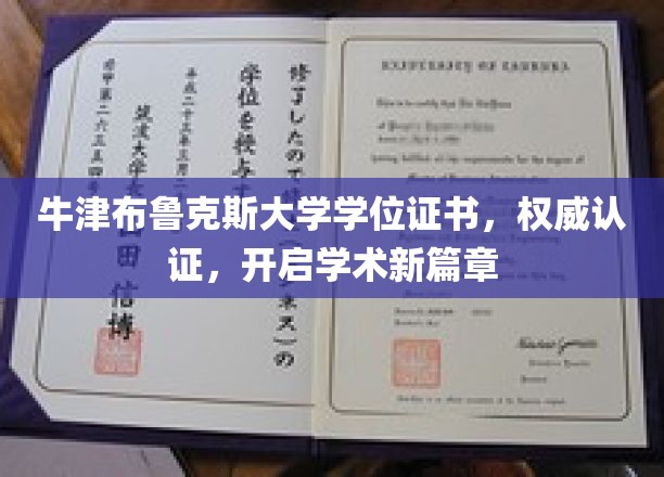 牛津布鲁克斯大学学位证书荣耀加身，引领学术之旅新起点
