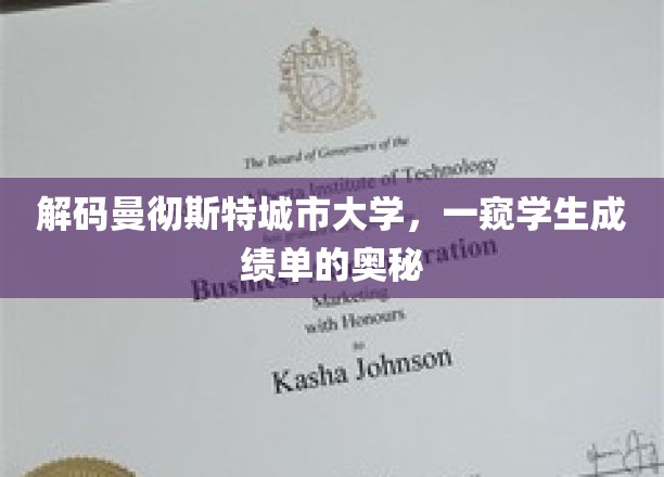 解码曼彻斯特城市大学，一窥学生成绩单的奥秘