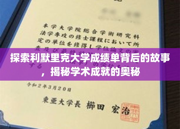 解码利默里克大学成绩单，探寻学术辉煌的秘密之门
