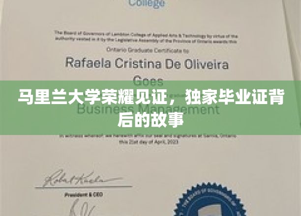 马里兰荣耀，揭秘毕业证背后的不凡历程