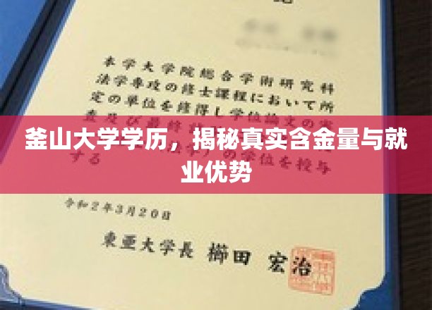釜山大学高学历解析，揭秘其就业市场的实际价值与优势