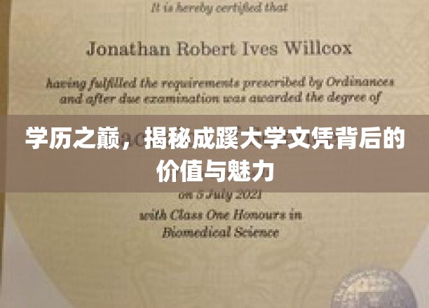 学历之巅，揭秘成蹊大学文凭背后的价值与魅力