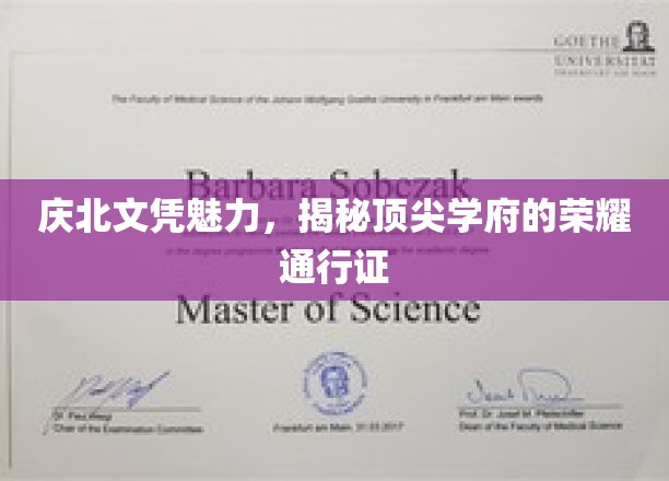 庆北文凭的光环，解码精英教育殿堂的非凡通行证
