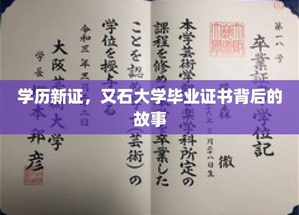 学历新篇章，又石大学证书背后的传奇揭秘