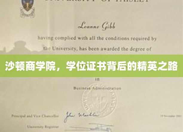 解码沙顿精英，学位证书背后的非凡征程