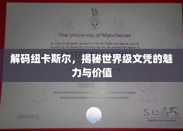 探寻纽卡斯尔文凭，国际视野下的教育瑰宝