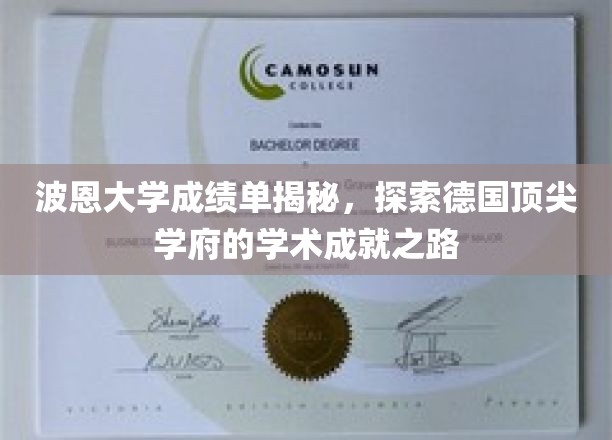 解码波恩大学，揭秘德国精英教育的学术辉煌