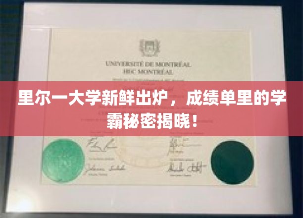 里尔一大学新鲜出炉，成绩单里的学霸秘密揭晓！