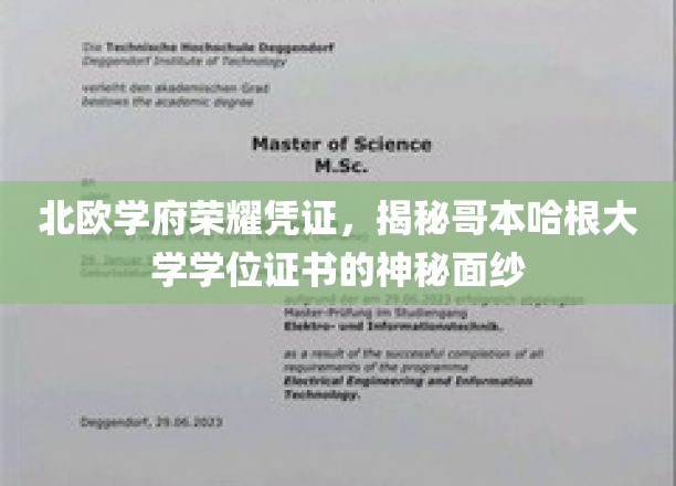 探寻哥本哈根大学学位证书的北欧荣耀之谜