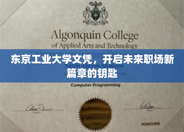 解锁未来职场新领域，东京工业大学文凭的非凡价值