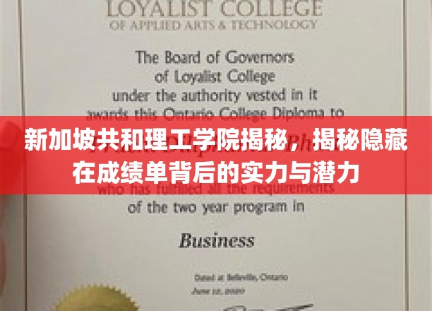 解码新加坡共和理工学院，探寻成绩单背后的卓越实力与无限潜能
