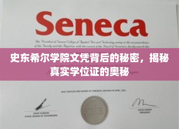 揭开史东希尔学院文凭之谜，探寻学位证的神秘面纱
