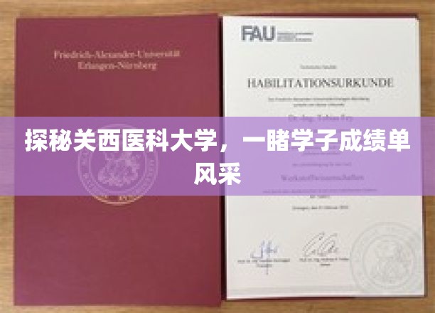 关西医科大学成绩单大揭秘，学子风采闪耀校园