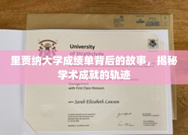 揭开里贾纳大学成绩单的神秘面纱，探寻学术成长的秘密轨迹