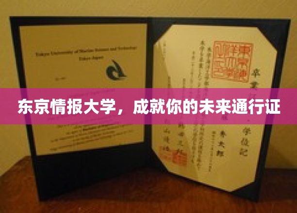 东京情报学府，开启你的全球未来之门