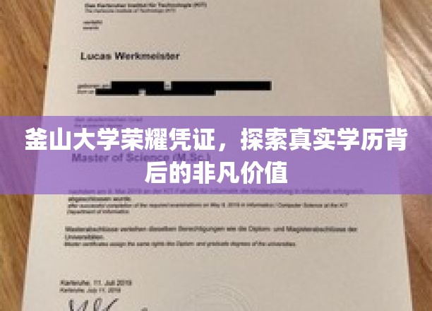 釜山大学荣耀证照揭秘，探寻学历背后的非凡价值与成就之路