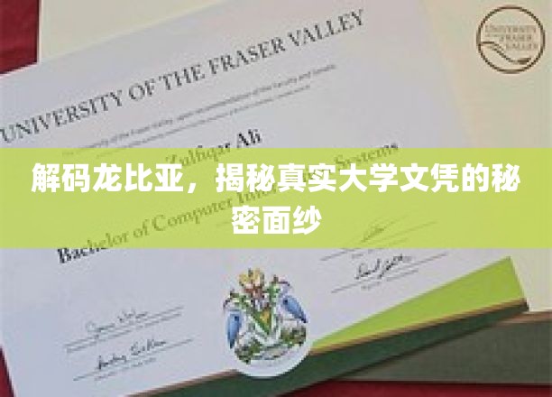 揭开龙比亚大学文凭背后的神秘世界
