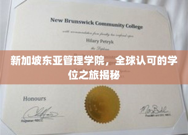 探索新加坡东亚管理学院，国际学位之旅的精彩篇章