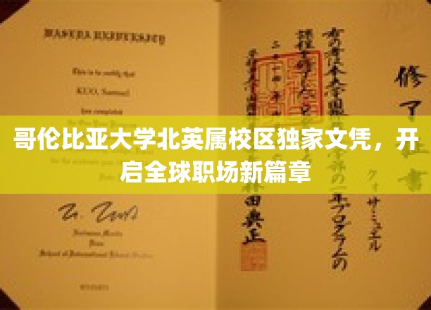哥伦比亚大学北英属校区精英文凭，引领国际职场未来潮流