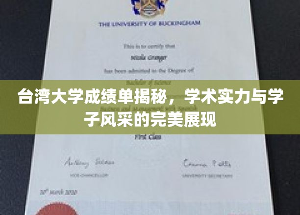 台湾大学成绩单揭秘，展现学术实力与学子风采的完美融合
