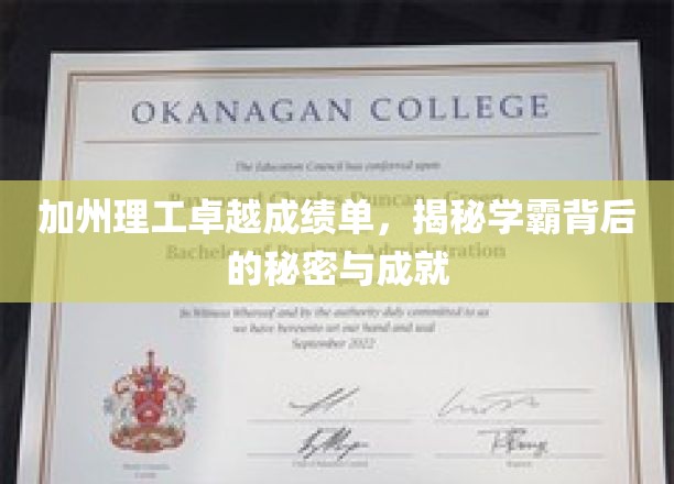 加州理工卓越成绩单，揭秘学霸背后的秘密与成就