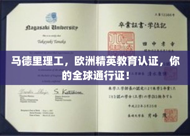 马德里理工精英教育，开启国际职场自由行之旅