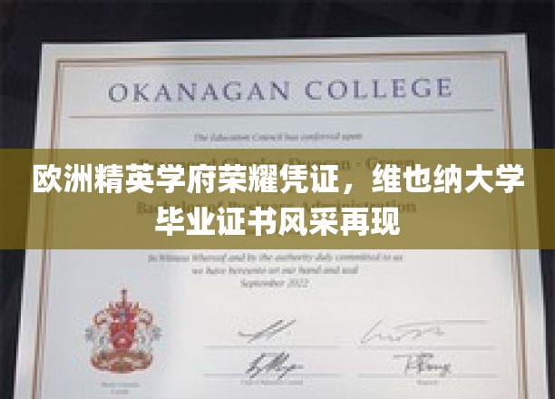欧洲精英学府荣耀凭证，维也纳大学毕业证书风采再现