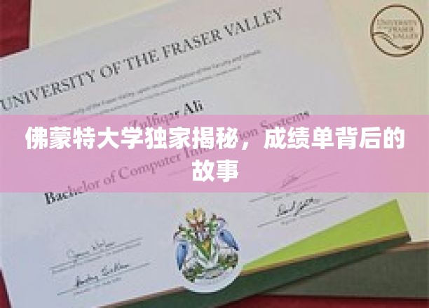 解码佛蒙特大学，成绩单背后的真实篇章