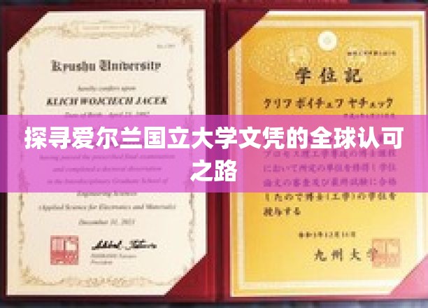全球通行无阻，爱尔兰国立大学文凭的卓越之路