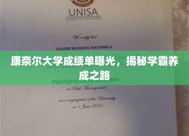 康奈尔大学成绩单曝光，揭秘学霸养成之路