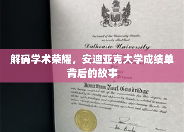 揭开荣耀背后的真相，安迪亚克大学成绩单里的不为人知故事